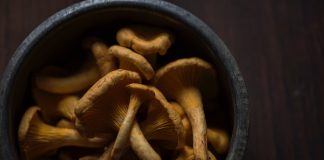 Superfood Mushrooms in Australia