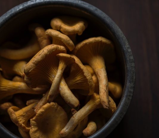Superfood Mushrooms in Australia
